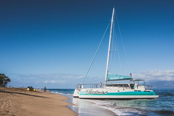 Maui: Kaanapali Beach 5-hour Snorkel w/ BBQ Lunch & Open Bar - Practical Details and Tips