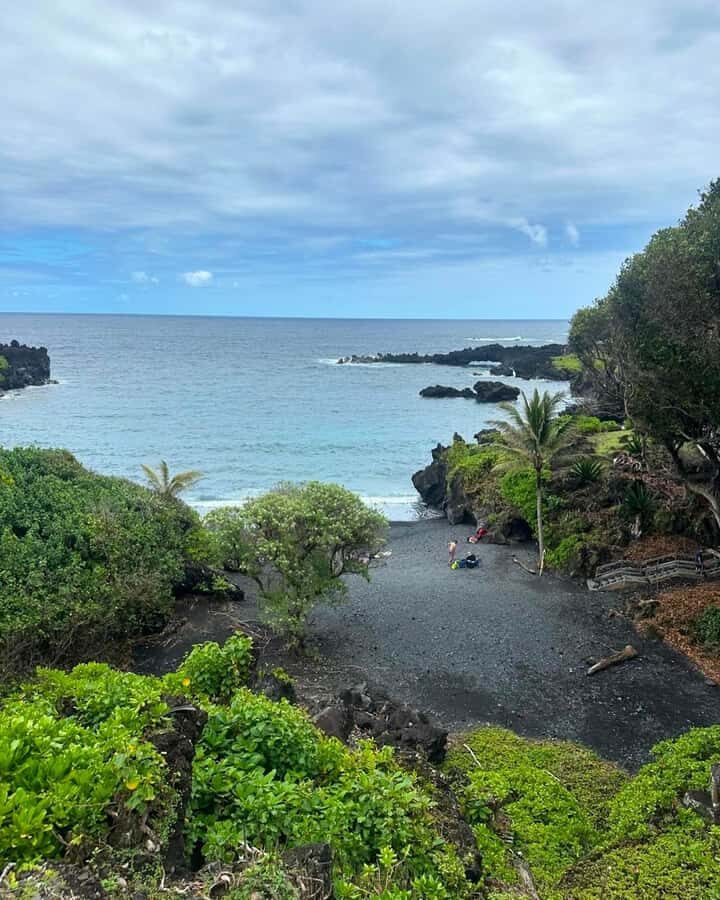 Maui Sea Turtles & Waterfalls: Full-Day Road to Hana Tour - What the Reviews Say
