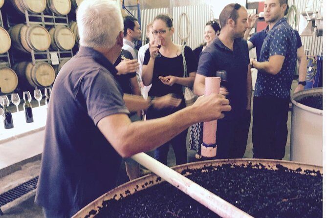 McLaren Vale Private Wine Tour - Practical Details