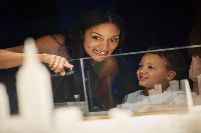 Melbourne Skydeck General Admission Ticket - The Price and Its Value