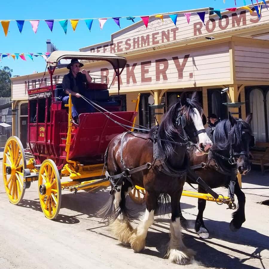 Melbourne: Sovereign Hill and Lake Ballarat Day Trip - Practical Details and What to Expect