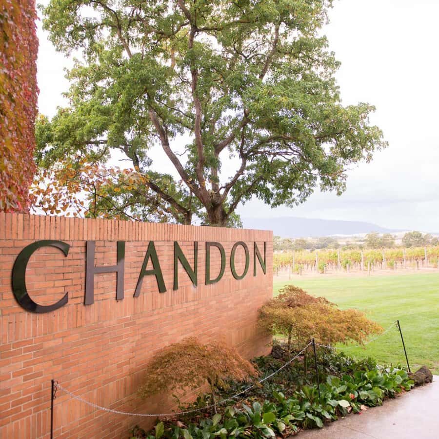 Melbourne: Yarra Valley Wine & Cherry Picking Day Trip - Real Traveler Perspectives