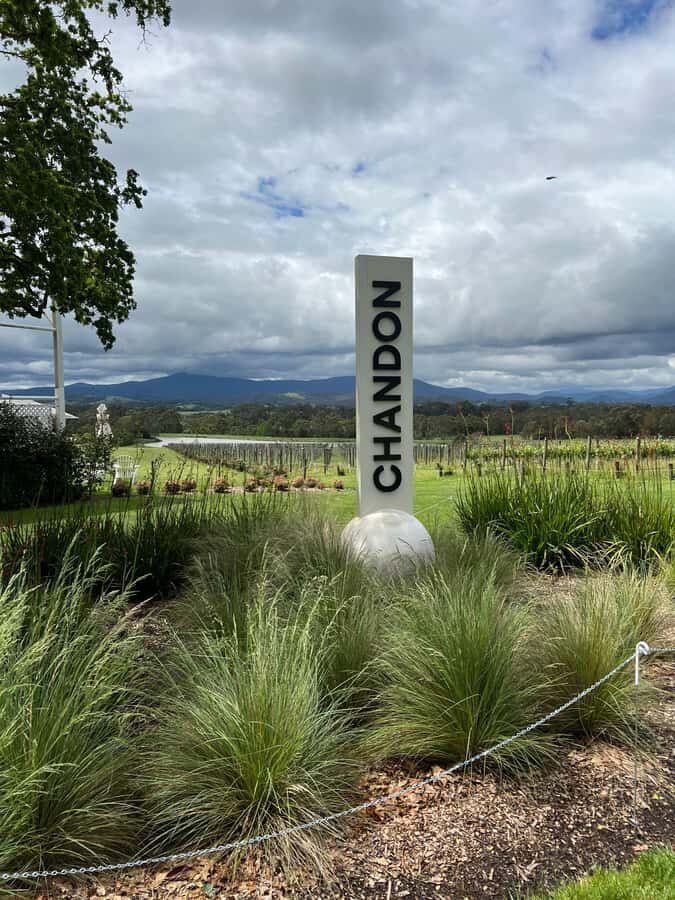 Melbourne: Yarra Valley Wineries Private Day Tour - What to Bring and Practical Tips