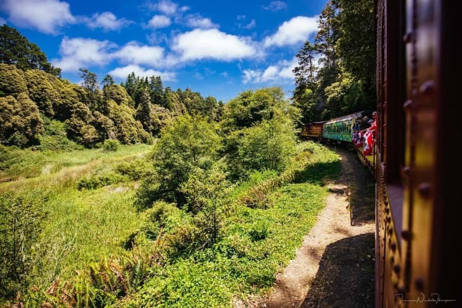 Mendocino County: Skunk Train Pudding Creek Train Ride - The Redwoods and Wildlife — Nature’s Best