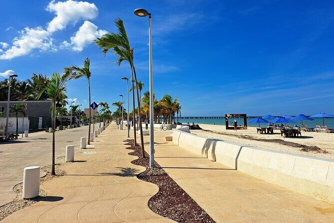 Merida Shuttle to Puerto Progreso with Free Time - What You’ll Do in Puerto Progreso