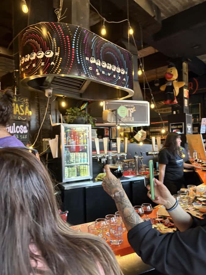 Mexico City: Craft Beer Tasting Experience with Snacks - The Practicalities