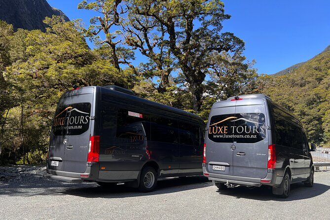 Milford Sound Full Day Tour from Te Anau with Cruise - Mirror Lakes Walk