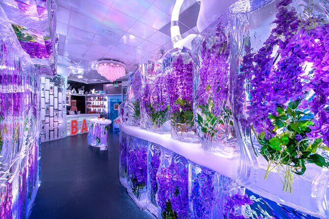 Minus5 Ice Bar Admission Ticket at The LINQ Las Vegas - How Does the Pricing Represent Value?