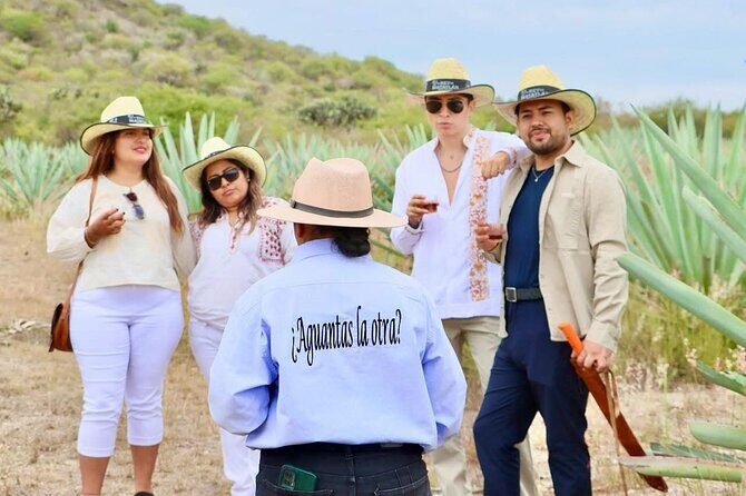 Mixer - A Closer Look at the Tour Itinerary