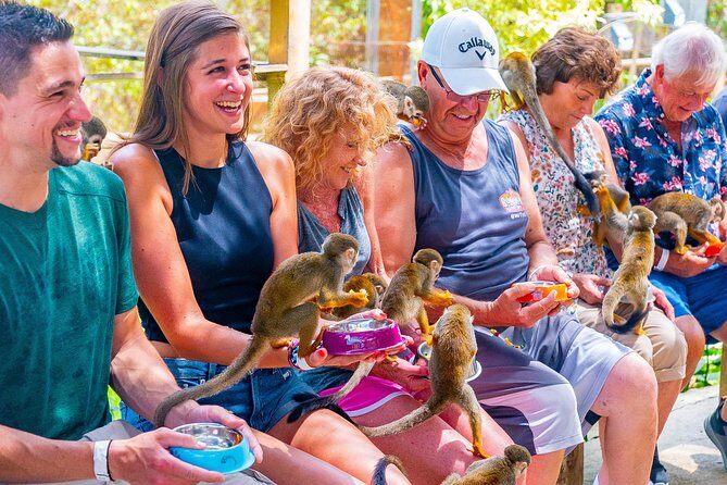 Monkeyland Puerto Plata - The Value and Considerations