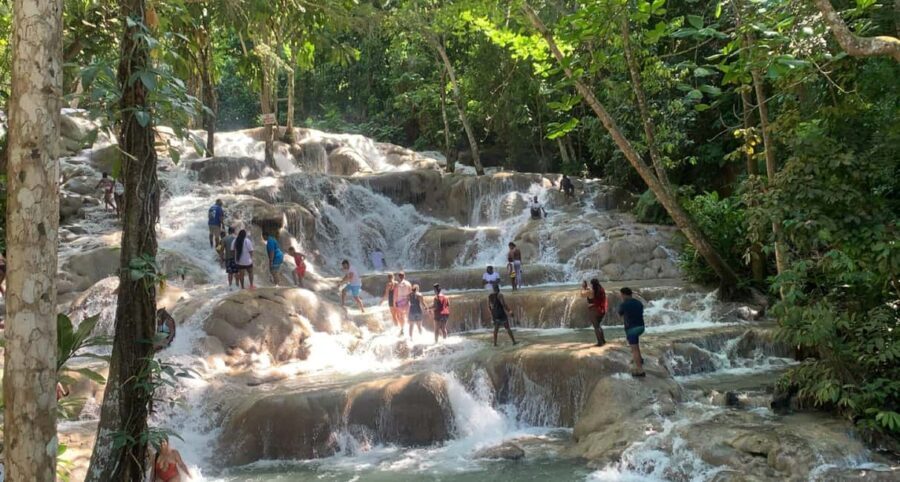 Montego Bay: Dunn's River Falls Private Excursion - What Sets This Tour Apart