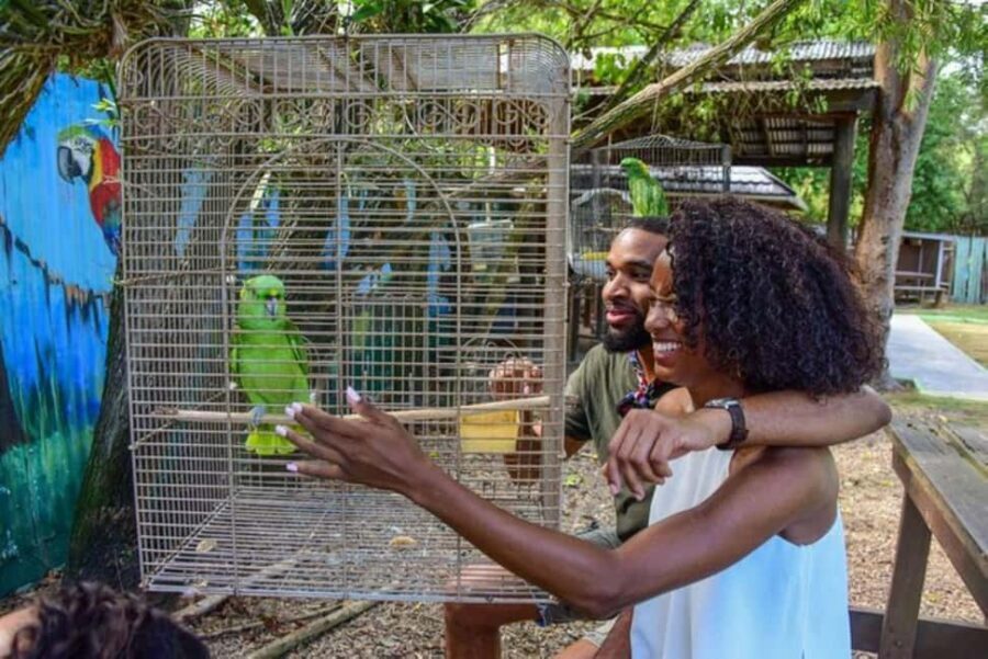 Montego Bay: Private Rocklands Bird Sanctuary Trip - Who Will Love This Tour?