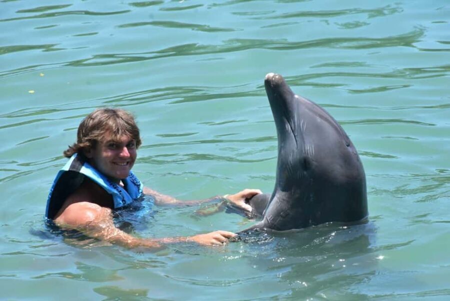 Montego Bay: Swim With The Dolphins Adventure in Lucea - What’s the Value?