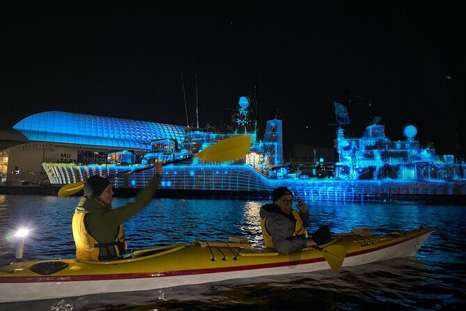 Moonlight Sea Kayaking Experience in Sydney's VIVID Festival - What Youll Love About the Experience