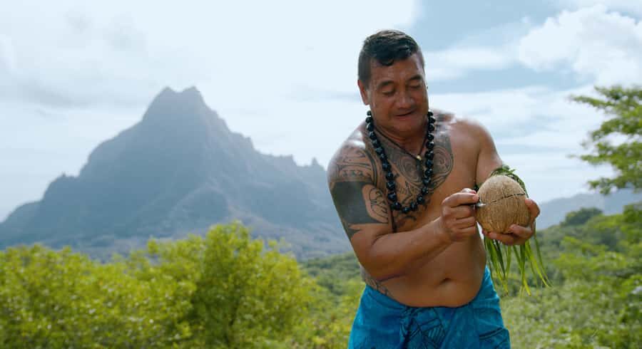 Moorea: Half-Day Open-Air 4WD Safari with Hotel Transfers - Who This Tour Is Best For