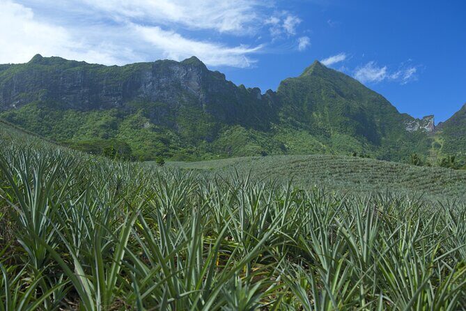 Moorea Highlights Private Tour: Natural and Cultural Attraction - What the Tour Includes and What to Consider