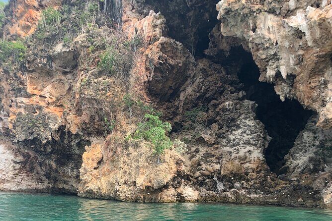 Morning Kayaking Tour to Little Bay - Final Thoughts