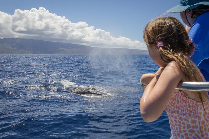 Morning Whale Watching Tour in Maui with Continental Breakfast - Who Will Love This Tour?  