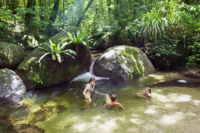 Mossman Gorge Daintree Experience Small Groups - An In-Depth Breakdown of the Itinerary