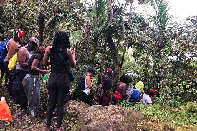 Mount Liamuiga Volcano Hike St Kitts Highest peak - What Sets This Tour Apart?