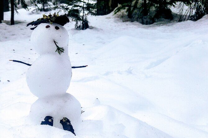 Mountain Snowshoeing & Photography - An In-Depth Look at the Mountain Snowshoeing & Photography Tour