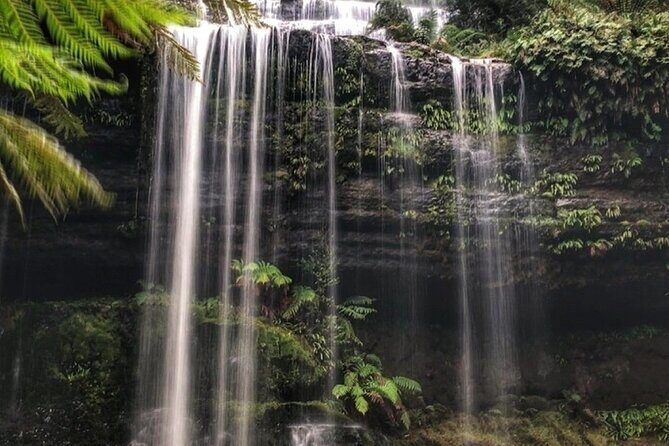 Mt Field National Park and Russell Falls with Bonorong Wildlife - Authentic Experiences: What Travel Reviews Reveal