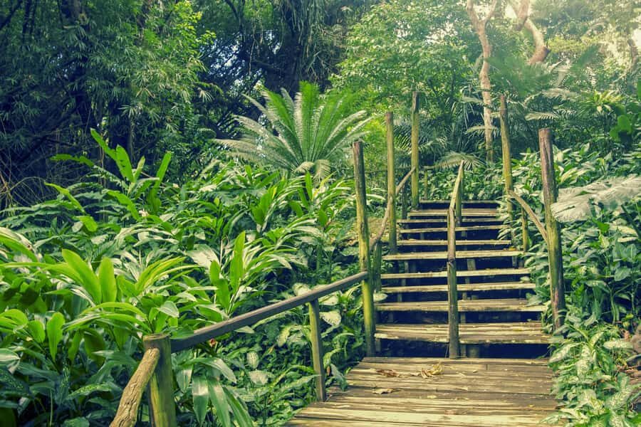 Nadi: Garden Village Hot Spring & Temple Highlights Tour - A Full Day of Nadi Highlights