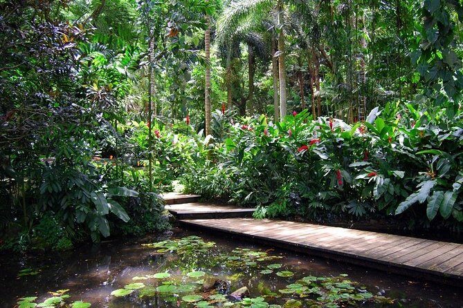 Nadi Sightseeing Including Viseisei Lookout, Village Tour, Garden & Temple Tour - What the Reviews Reveal