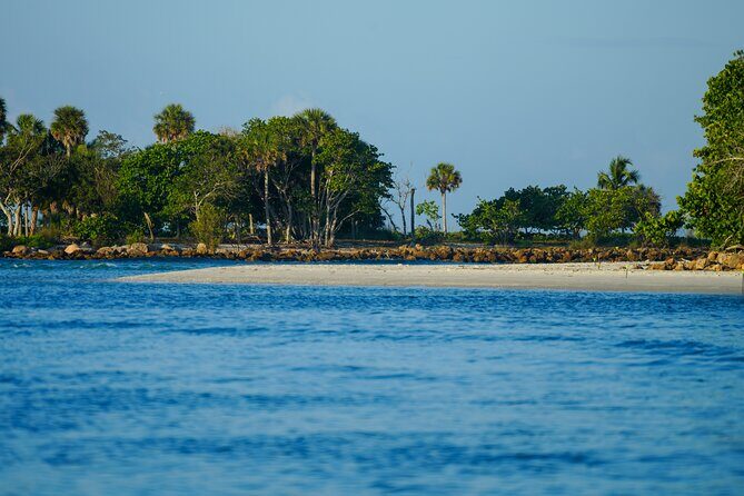 Naples Half-Day Private Eco Tour and Shelling Trip - Final Thoughts