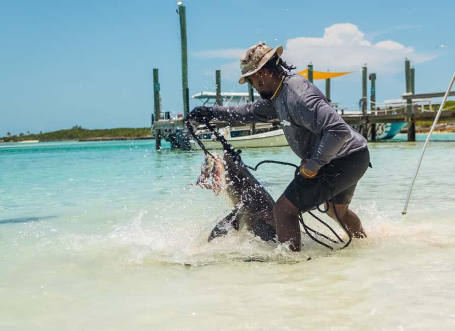 Nassau: Exuma Powerboat Day Trip - Why Travelers Love This Tour