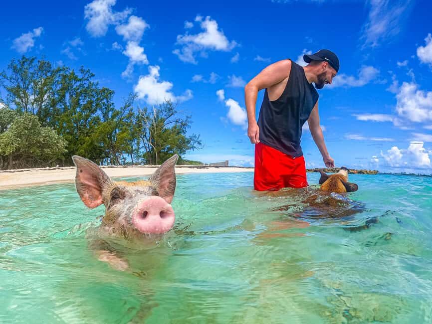 Nassau: Sun Cay and Swimming Pigs Boat Trip with Lunch - What Makes This Tour Stand Out?