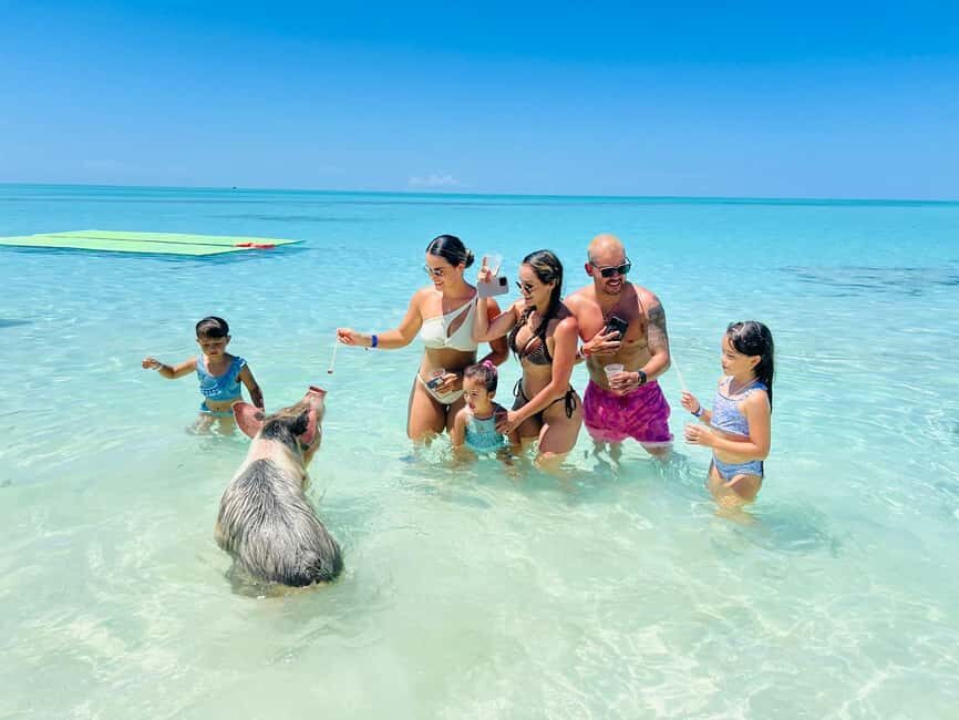 Nassau: Swimming Pigs, Turtles, Snorkel & More - Authentic Encounters and Real Guest Insights