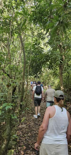 Nevis: Nevis Peak Guided Hike - The Itinerary: What Makes Each Part Special