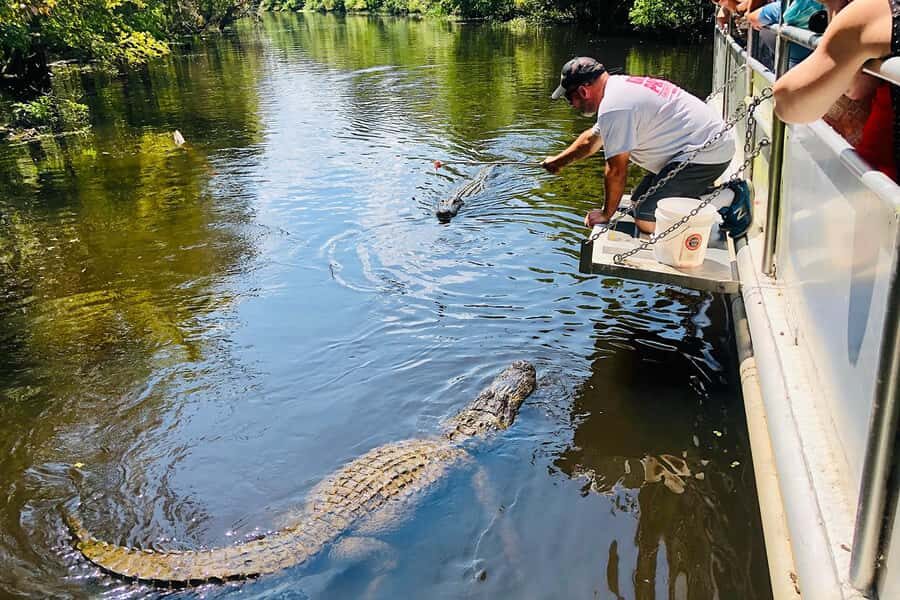 New Orleans: Swamp Boat Ride & Whitney Plantation Tour - An In-Depth Look at the Tour Experience