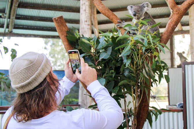 Newcastle: Animal Lovers Tour - Kangaroos, Dolphins & more! - Why This Tour Offers Great Value
