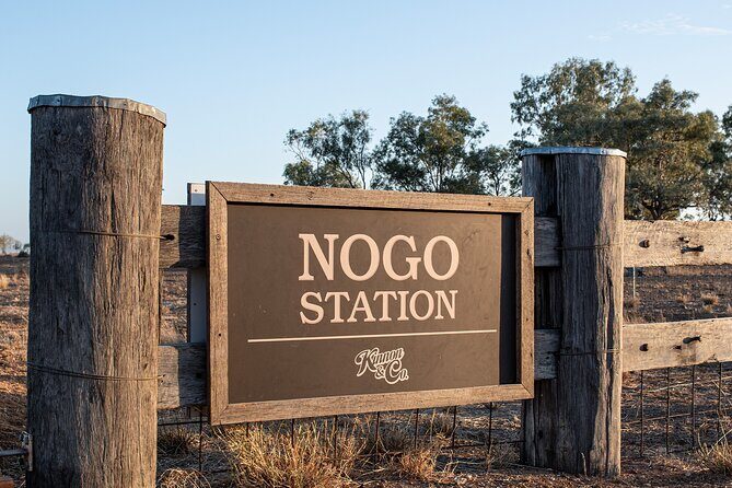 Nogo Station Experience - Practical Tips for Visitors