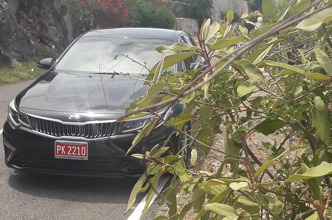 Norman Manley Airport to Strawberry Hills - Why This Transfer Works Well for Travelers