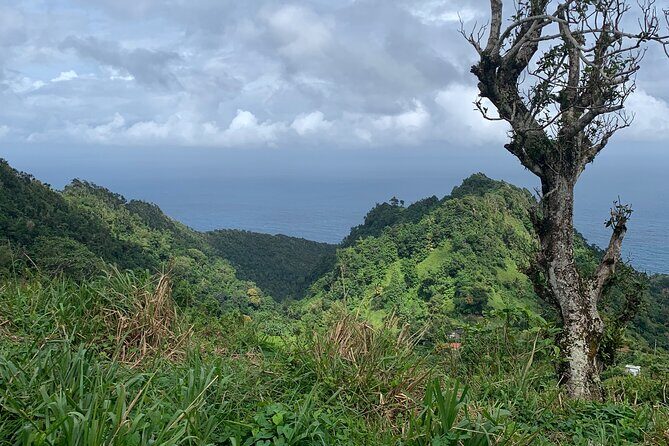 North Coast Dominica Sightseeing Day Tour - Why This Tour Is a Good Deal