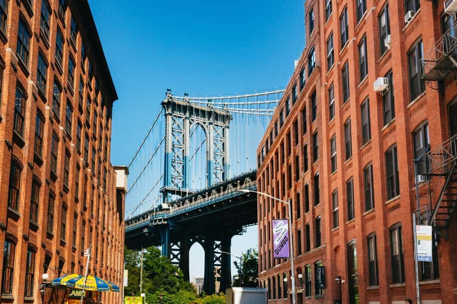 NY Contrasts: Brooklyn, Bronx, Harlem, Queens & Coney Island - Itinerary Breakdown and Neighborhood Highlights