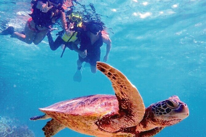 Oahu Circle Island Tour with Snorkeling + Free Perks & Free Wi-Fi - What We Loved About the Tour