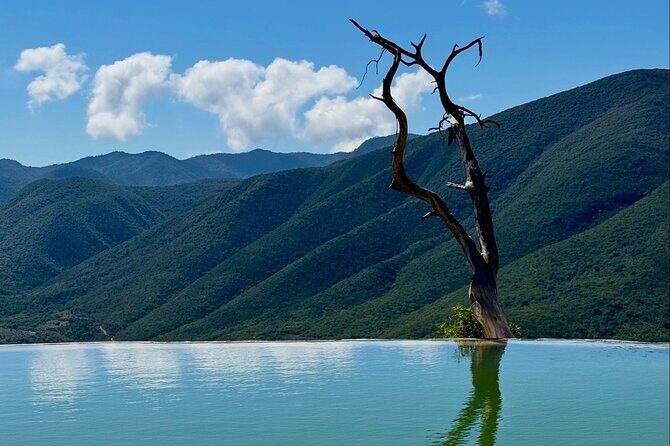 Oaxaca Private Tour 3 Days Monte Albany and Mitla and City - Practical Details and What They Mean for You