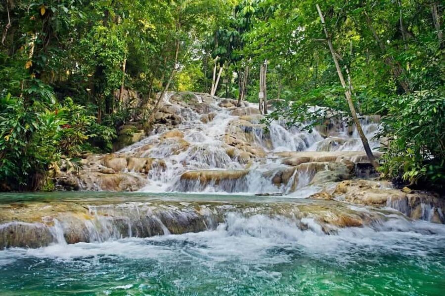 Ocho Rios: Dunn's River Falls and Shopping Tour - Authenticity and Local Flavor