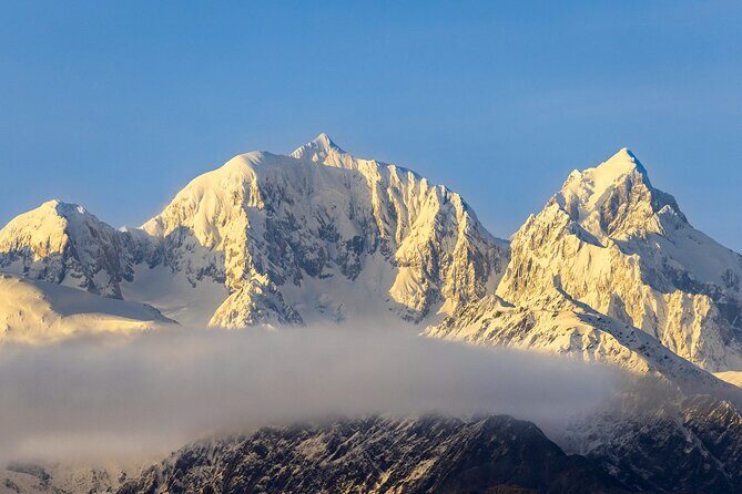 Okarito Nature Tour - Frequently Asked Questions (FAQs)