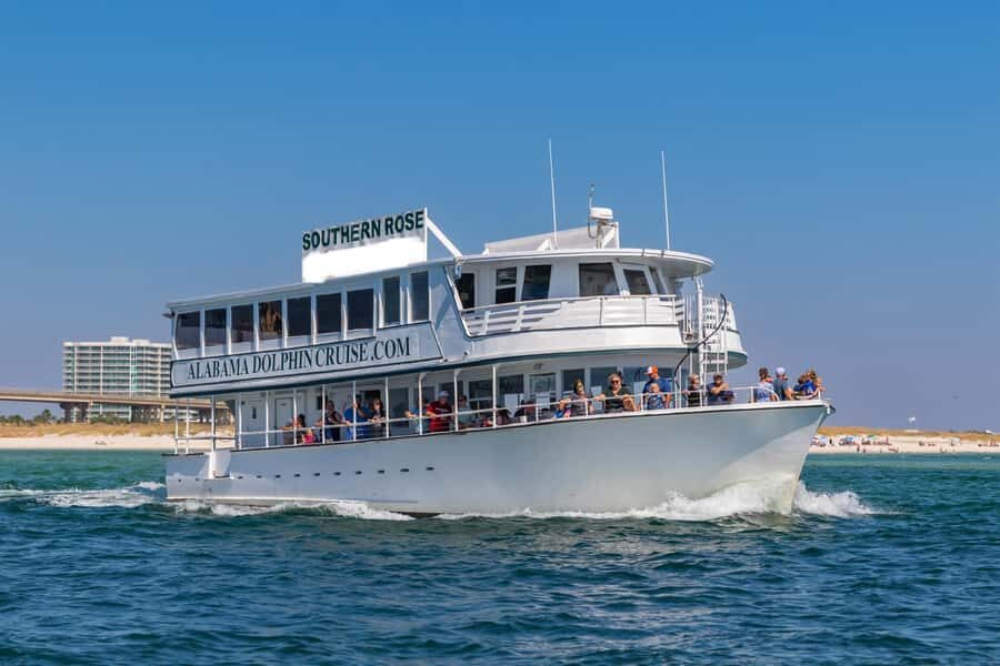 Orange Beach: Dolphin Cruise - Why This Dolphin Cruise Is a Good Fit