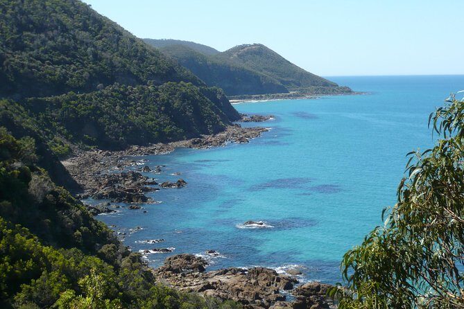 Overnight Great Ocean Road Tour from Melbourne - Day 2: Iconic Landmarks and Wildlife Encounters