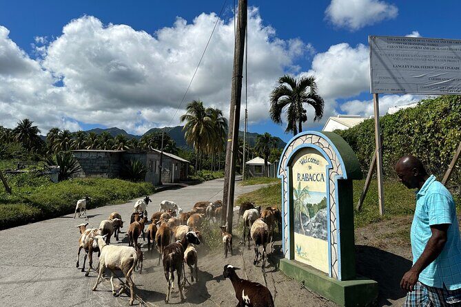 Owia Salt Pond Tour and Black Point Tunnel with Topdawg Taxi and Tours - Who Will Love This Tour?