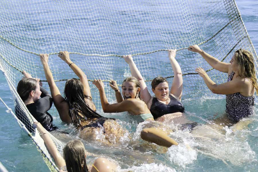 Paihia: Bay of Islands Dolphin Eco Cruise & Island Stopover - The Itinerary – What You Can Expect