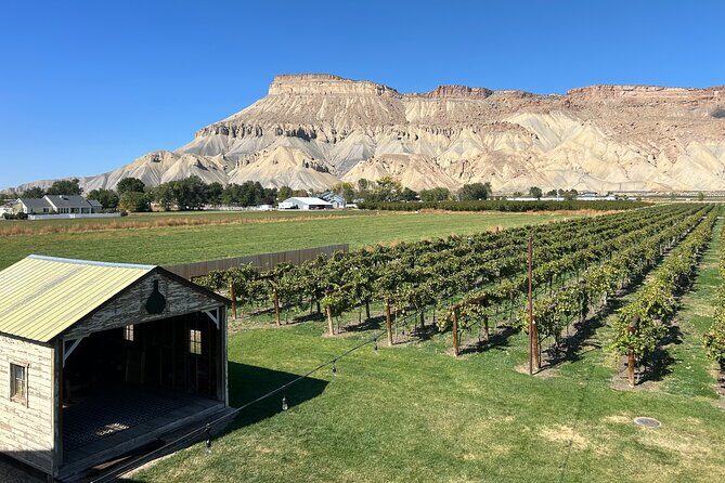Palisade Wine Tour Luxury Wine Tasting Experience - Key Points to Remember