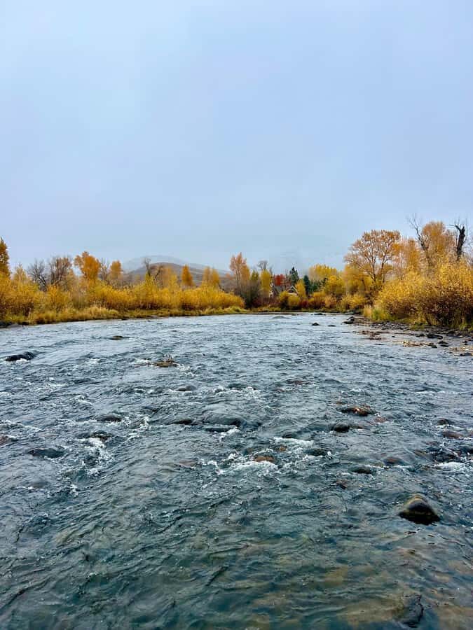 Park City: Guided Fly Fishing on Provo & Weber Rivers - The Itinerary: What to Expect