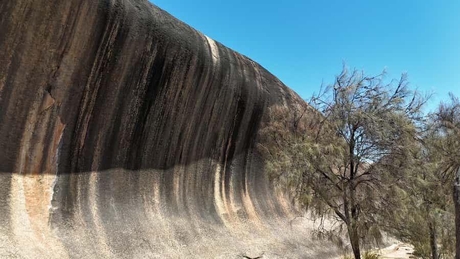 Perth: Wave Rock, Mulka's Cave, and York (Full Day Tour) - What Makes This Tour a Good Choice?
